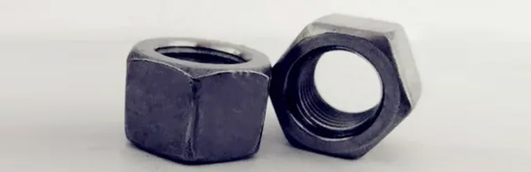 ASTM A194 Carbon Steel Nuts