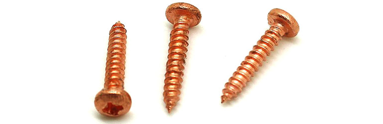 B151 Copper Nickel 70/30 Screws