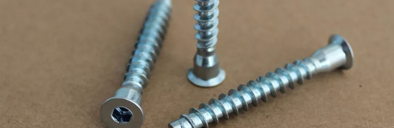 Incoloy Alloy 825 Screws