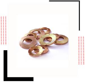 DIN 2.0882 Self Locking Washer