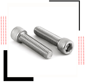 SS Socket Head Cap Screws