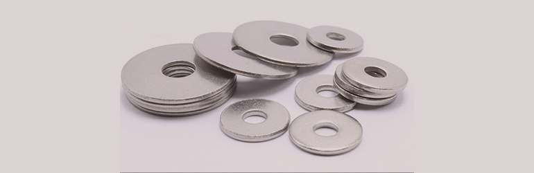 Alloy 254 SMO Washers