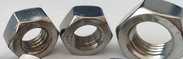 Alloy 825 Hex Nuts