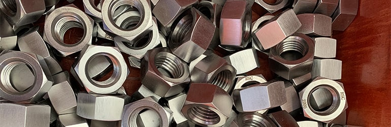 A194 Stainless Steel 310 Nuts