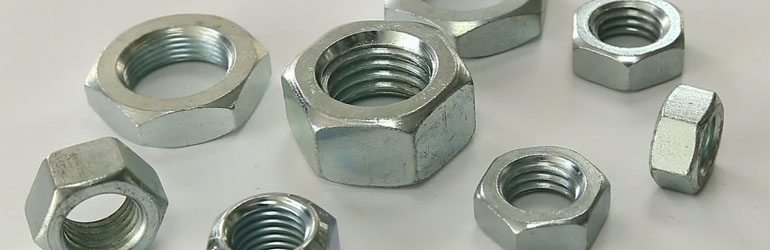 A194 Stainless Steel 316 Nuts