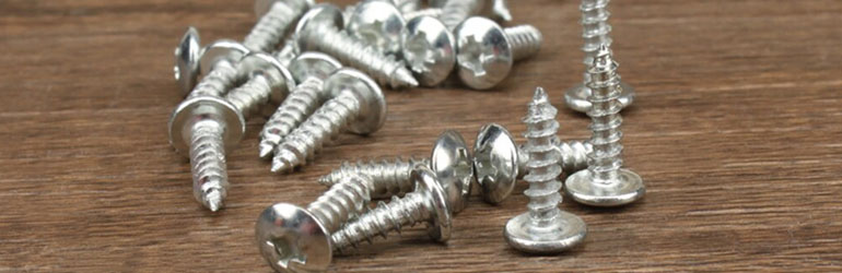 A193/F593 Stainless Steel 904L Screws