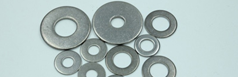 SS 316 Washers